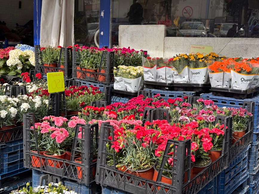 An outdoor display of colorful fresh flowers, predominantly pink and red carnations in terracotta pots arranged in black plastic crates. The flowers have lush green foliage and vibrant, full blooms wi