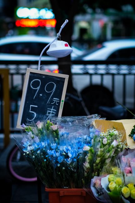 A display of various fresh flower bouquets on an outdoor stand, featuring predominantly blue and white flowers such as delphiniums and daisies, arranged in clear plastic wrapping. Behind the flowers, 